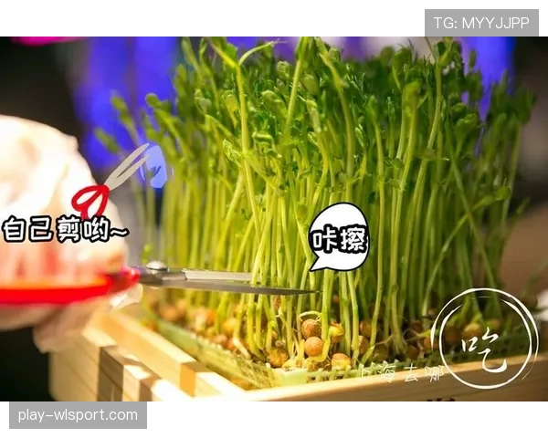 谢杏芳和普通人差太多了，连买个菜都是VIP专属模式？